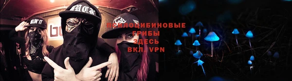 spice Абаза