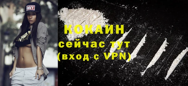 стаф Абинск
