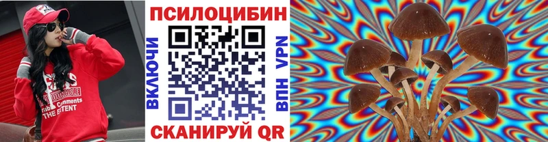где найти   Фатеж  Галлюциногенные грибы MAGIC MUSHROOMS 